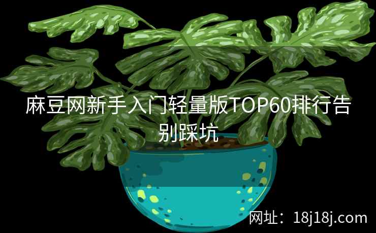 麻豆网新手入门轻量版TOP60排行告别踩坑
