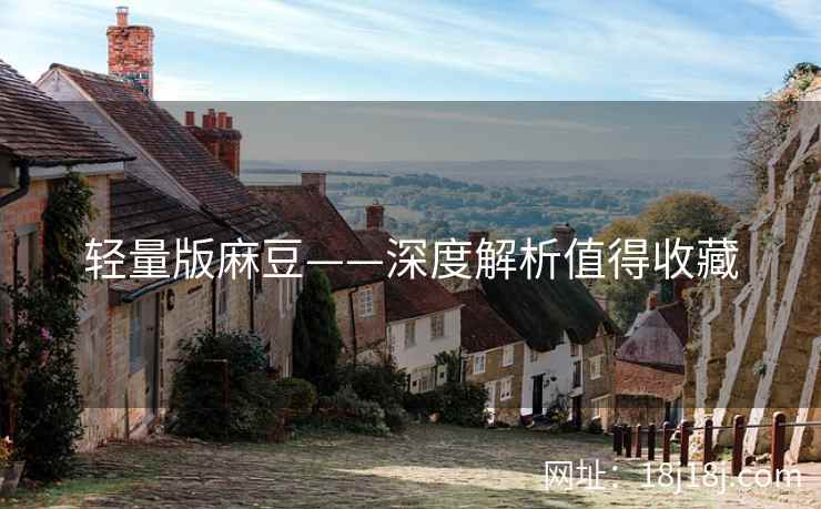 轻量版麻豆——深度解析值得收藏