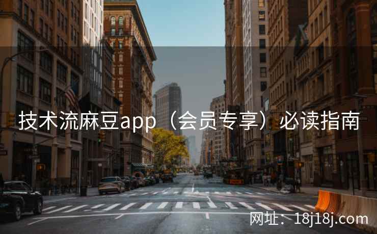技术流麻豆app（会员专享）必读指南