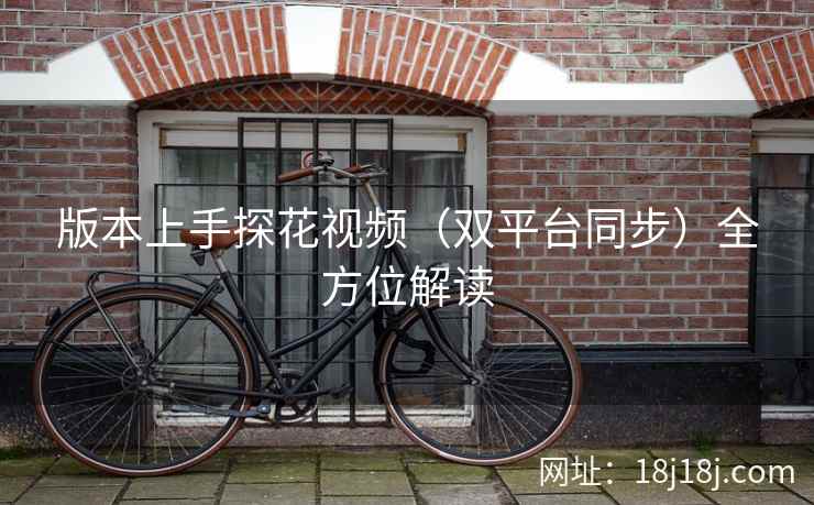 版本上手探花视频（双平台同步）全方位解读