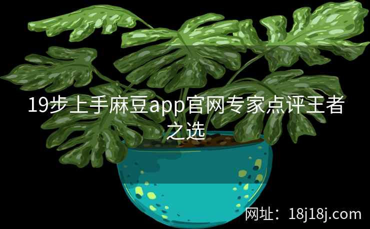 19步上手麻豆app官网专家点评王者之选