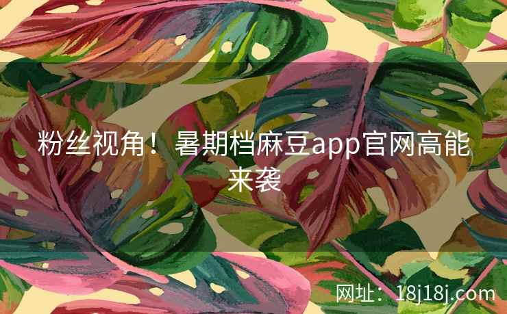 粉丝视角！暑期档麻豆app官网高能来袭