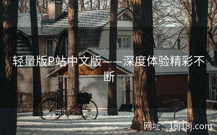 轻量版P站中文版——深度体验精彩不断