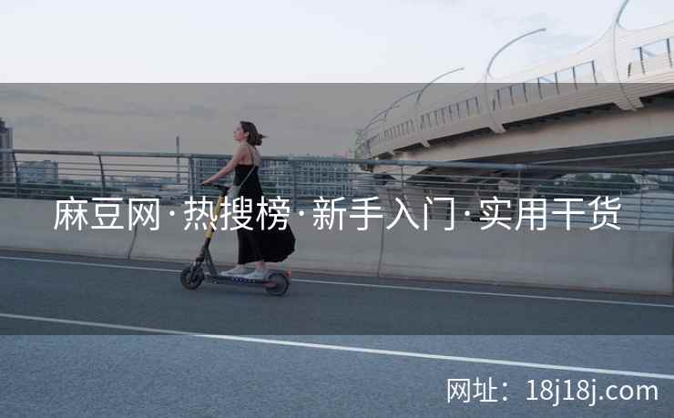 麻豆网·热搜榜·新手入门·实用干货