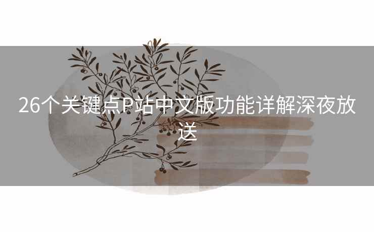 26个关键点P站中文版功能详解深夜放送