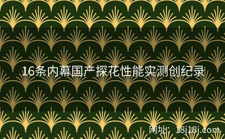 16条内幕国产探花性能实测创纪录 16条内幕国产探花性能实测创纪录