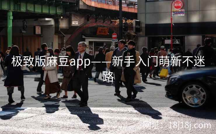 极致版麻豆app——新手入门萌新不迷路