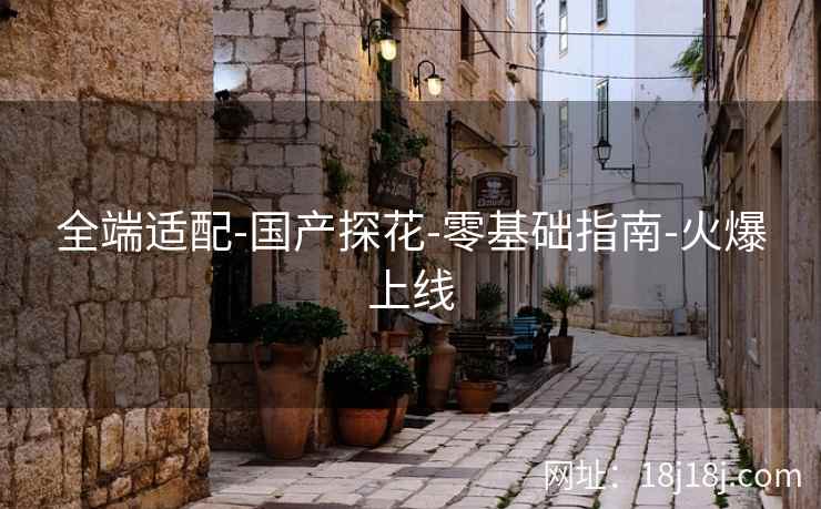 全端适配-国产探花-零基础指南-火爆上线