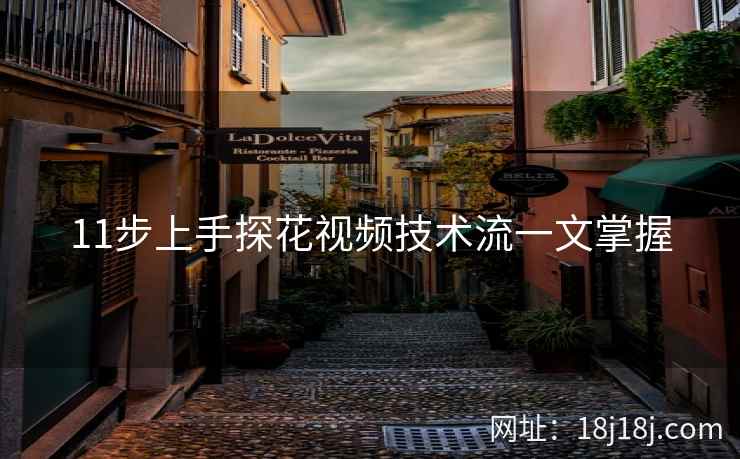 11步上手探花视频技术流一文掌握