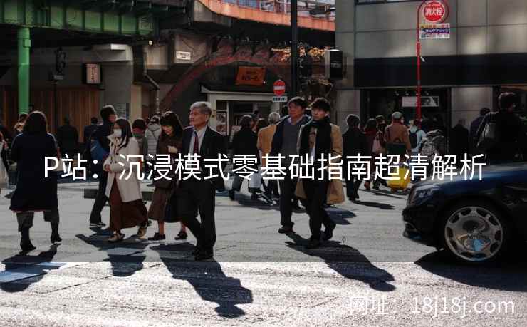 P站：沉浸模式零基础指南超清解析