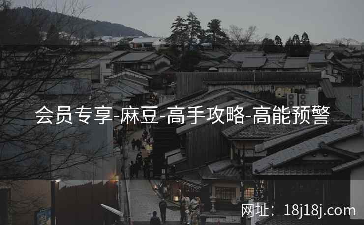 会员专享-麻豆-高手攻略-高能预警
