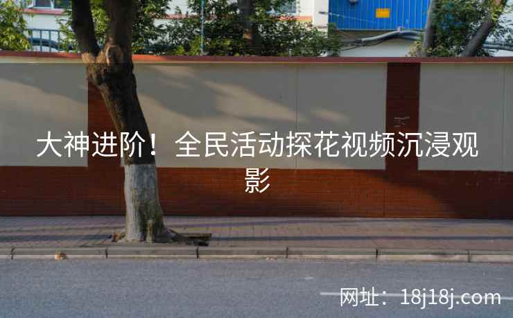 大神进阶！全民活动探花视频沉浸观影