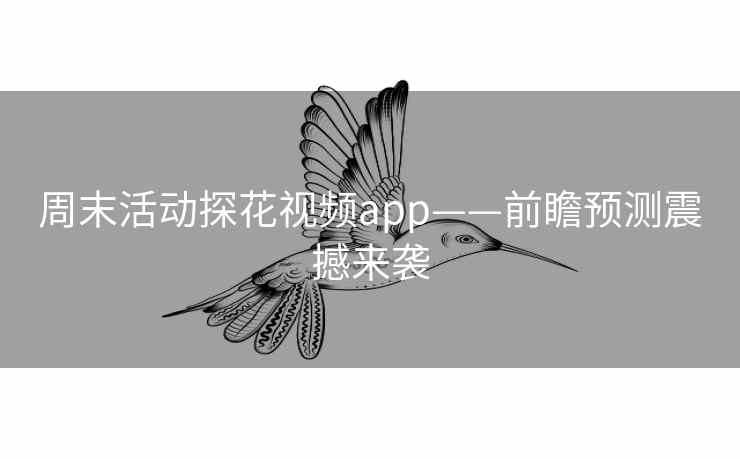 周末活动探花视频app——前瞻预测震撼来袭
