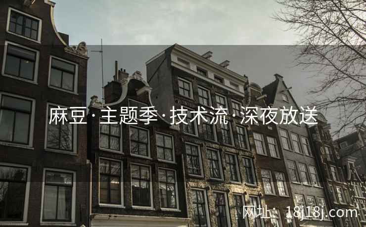 麻豆·主题季·技术流·深夜放送